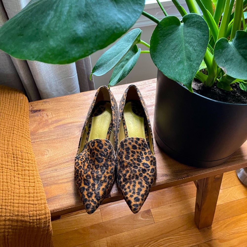 Leopard print pointed slip ons